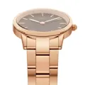 Dámske hodinky  DANIEL WELLINGTON DW00100212 - ICONIC LINK (zx706b)